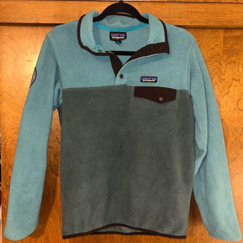 Patagonia Teal and Brown Synchilla Fleece
